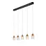 BERLIANE - Pendant light - LED Dim. - 5x4W 2700K - With replaceable LED module - Transparant - 00430/20/60