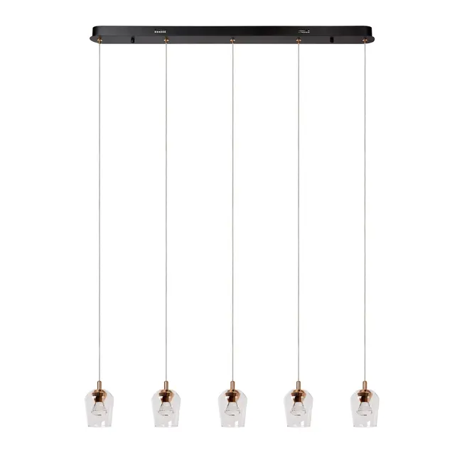 BERLIANE - Pendant light - LED Dim. - 5x4W 2700K - With replaceable LED module - Transparant - 00430/20/60