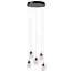 BERLIANE - Pendant light - Ø 34 cm - LED Dim. - 5x4W 2700K - With replaceable LED module - Transparant - 00430/21/60