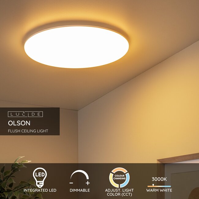 OLSON - Flush ceiling light - Ø 45 cm - LED Dim. - CCT - 1x45W 3000K/6500K - Opal - 79190/45/61