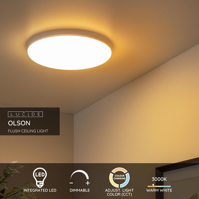 OLSON - Flush ceiling light - Ø 35 cm - LED Dim. - CCT - 1x36W 3000K/6500K - Opal - 79190/36/61