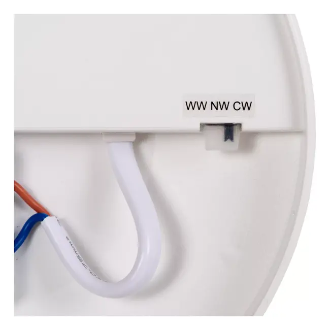 OLSON - Flush ceiling light - Ø 35 cm - LED Dim. - CCT - 1x36W 3000K/6500K - Opal - 79190/36/61