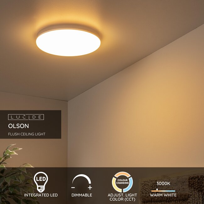 OLSON - Ceiling lamp - Ø 29 cm - LED Dimming. - CCT - 1x24W 3000K/6500K - Opal - 79190/24/61