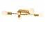 LESTER - Flush ceiling light - 4xE27 - Matt Gold / Brass - 21118/04/02