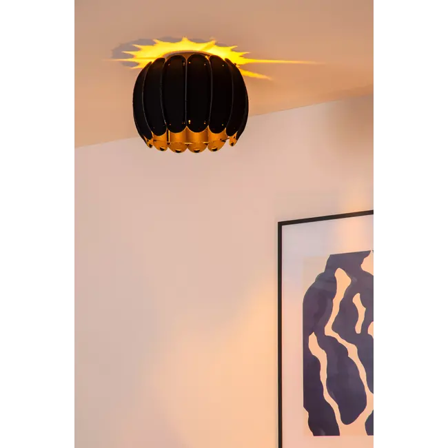 SPENCER - Plafonnière - Ø 30 cm - 1xE27 - Zwart - 34145/30/30