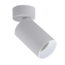 Connor Adjustable Ceiling Spot White