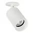 Absinthe Tuup Basic Semi-inbouw Plafondspot Wit - 3000K