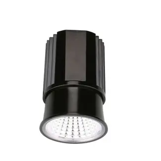 Absinthe MODULE LED ZENKAI 230V NOIR - 3000K