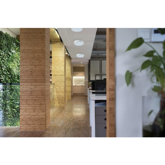 Drum 220 Plafonnière Wit