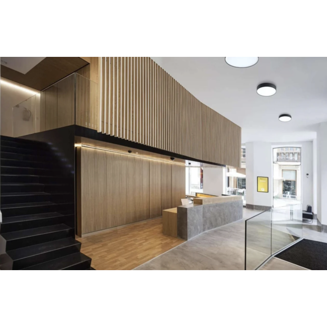 Drum 220 Plafonnière Zwart