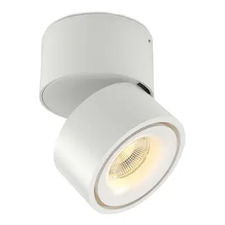 Absinthe Spot de plafond Nimis 1 blanc - 3000 K