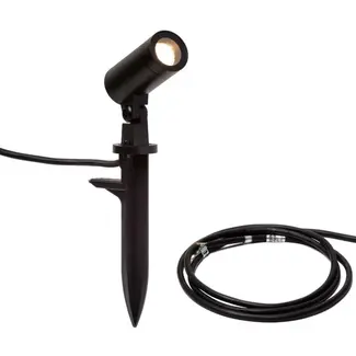 Absinthe Manny Medium Spotlight Black