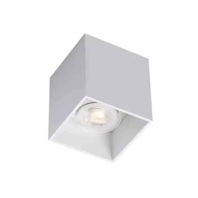 Chuck 1 Surface-mounted spotlight White