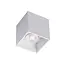 Absinthe Chuck 1 Surface-mounted spotlight White