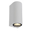 ZARO - Wandspot / Wandlamp Binnen/Buiten - 2xGU10 - IP44 - Wit - 69801/02/31