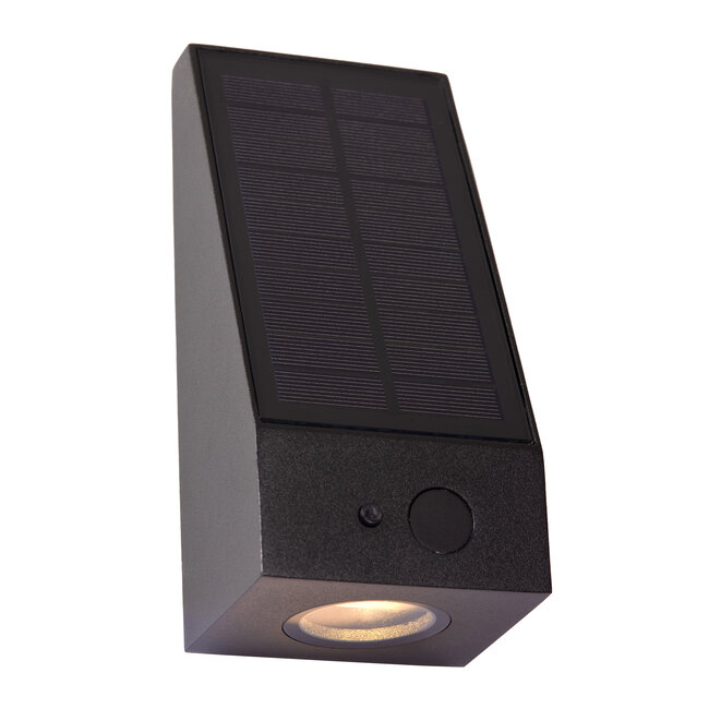 IRWIN - Wandlamp - Zonne-energie - LED Dimb. - 1x2W 2850K/3150K - IP54 - Dag/nacht sensor - Zwart - 15816/02/30