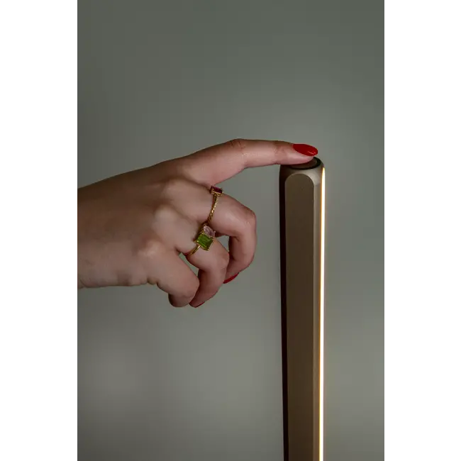 Premium BRAGA - Floor lamp - Ø 30 cm - LED Dimming. - CCT - 1x22W 2700K/4000K - Coffee - 23772/18/96