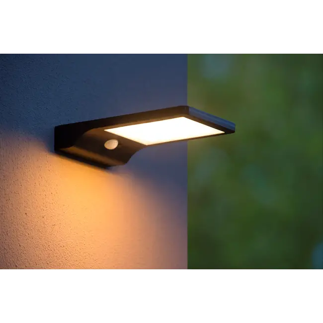 BASIC - Applique - Énergie solaire - LED - 1x3W 2700K - IP44 - Détecteur de mouvement et jour/nuit - Noir - 22862/04/30