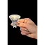 MR16 - LED lamp - Ø 5 cm - LED - GU10 - 1x5W 2700K - Transparent - 49008/05/60