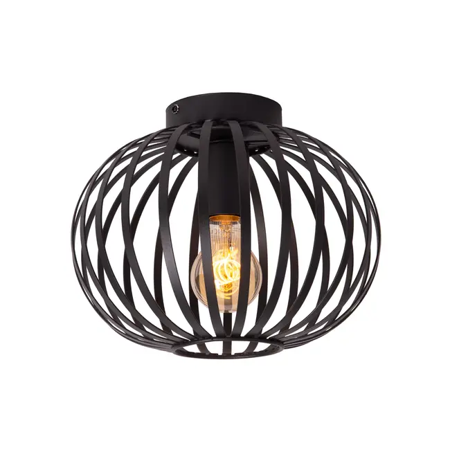 Lucide MANUELA - Ceiling lamp - Ø 25 cm - 1xE27 - Black