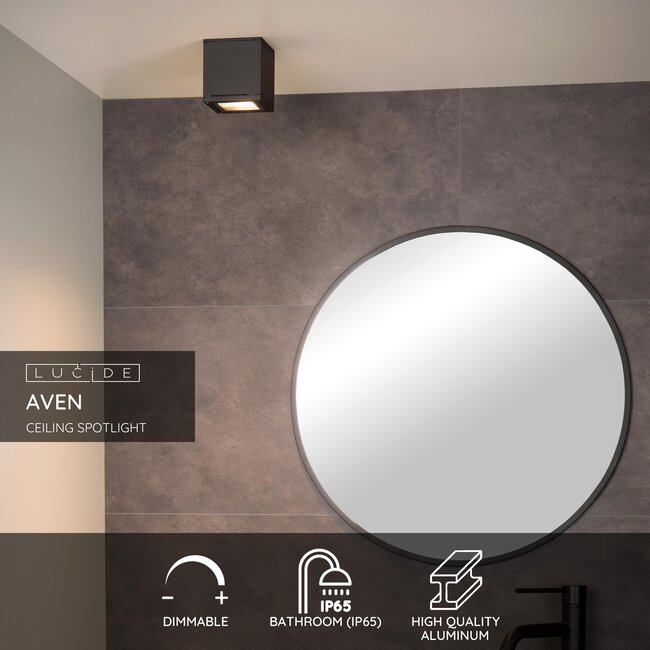 AVEN - Spot de plafond Salle de bain - 1xGU10 - IP65 - Noir - 22963/01/30