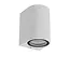 ZARO - Wandspot / Wandlamp Binnen/Buiten - 1xGU10 - IP44 - Wit - 69801/01/31