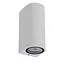 ZARO - Wall spot / Wall lamp Indoor/Outdoor - 2xGU10 - IP44 - White - 69801/02/31
