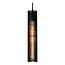 LIONEL - Hanglamp - 5xE27 - Zwart - 73406/05/30