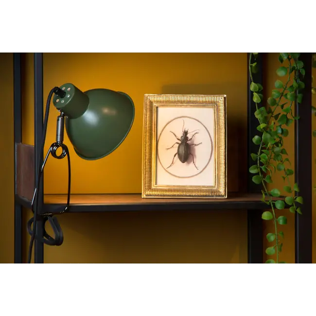 MOYS - Lampe à pince - 1xE27 - Vert - 45987/01/33