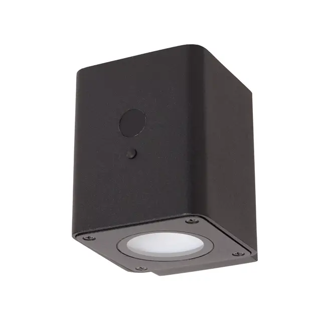 RAMIN - Applique - Solaire - LED Dimb. - 1x1W 2850K/3150K - IP54 - Capteur jour/nuit - Noir - 15818/01/30