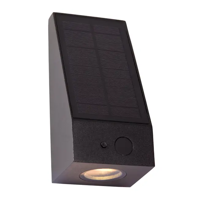 IRWIN - Wandlamp - Zonne-energie - LED Dimb. - 1x2W 2850K/3150K - IP54 - Dag/nacht sensor - Zwart - 15816/02/30