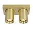 NIGEL - Ceiling spotlight - LED Dim to warm - GU10 - 2x5W 2200K/3000K - Matt Gold / Brass - 09929/10/02