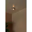 RIGON - Plafonnier - Ø 9 cm - LED - 1x7W 3000K - Or Mat / Laiton - 04116/06/02