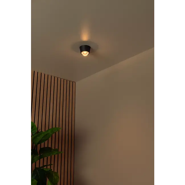 RIGON - Plafonnière - Ø 9 cm - LED - 1x6W 3000K - Zwart - 04116/06/30