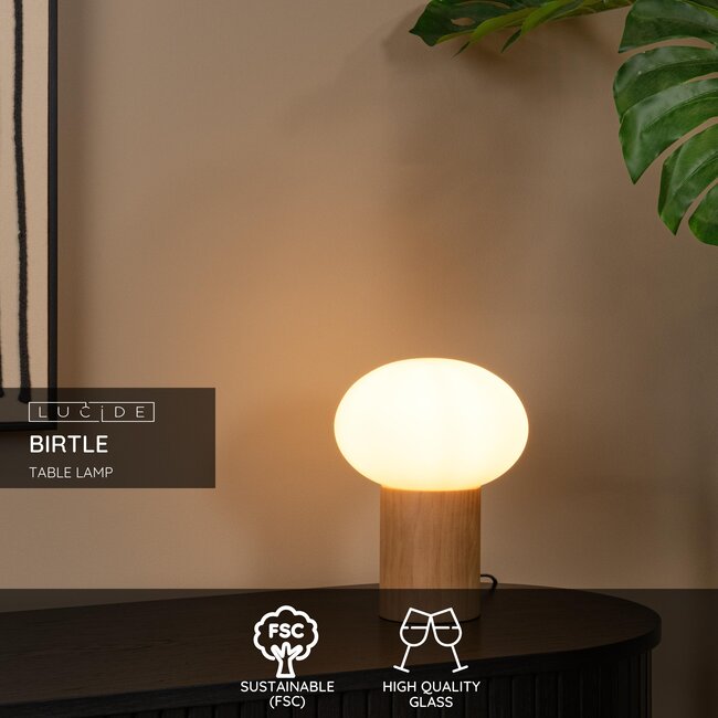 BIRTLE - Lampe de table - 1xE14 - Opale - 05550/10/61