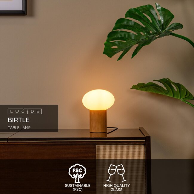 BIRTLE - Table lamp - 1xE14 - Opal - 05550/20/61