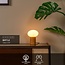 BIRTLE - Lampe de table - 1xE14 - Opale - 05550/20/61