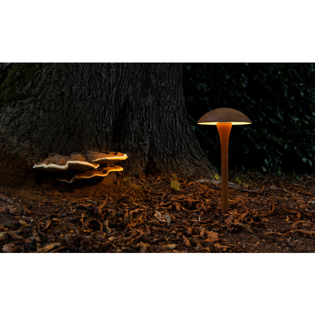 Fungy 50 Buitenverlichting