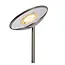 ZENITH - Reading lamp - LED Dimb. - 3000K - Matt chrome - 19791/24/12