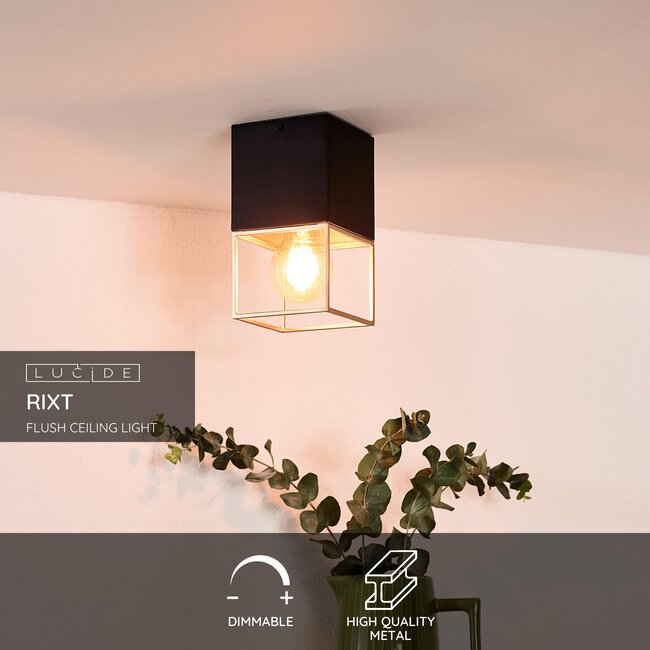 RIXT - Plafonnière - 1xE27 - Zwart - 21120/01/30