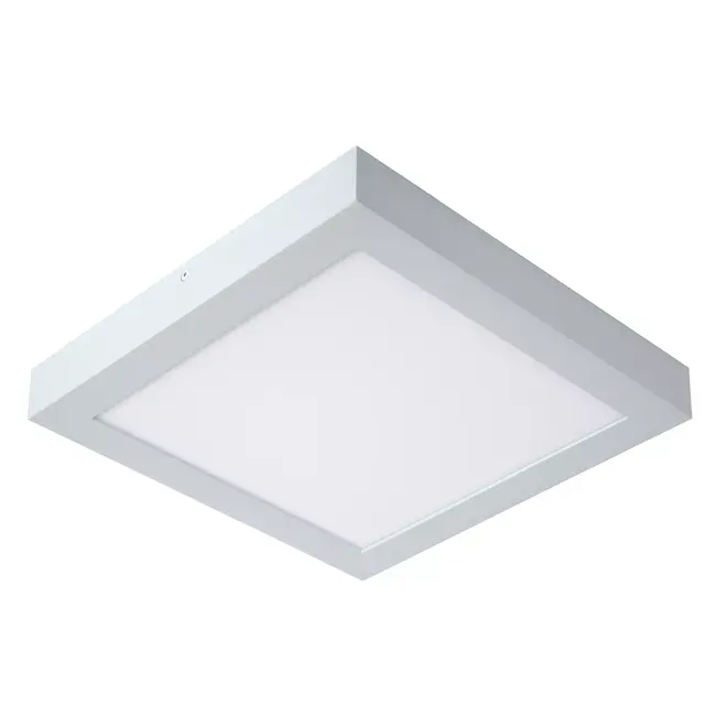BRICE-LED - Bathroom Ceiling Light - LED Dim. - 1x30W 3000K - IP44 - White - 28117/30/31