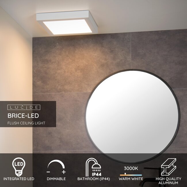 BRICE-LED - Plafonnier de salle de bain - LED Dim. - 1x30W 3000K - IP44 - Blanc - 28117/30/31