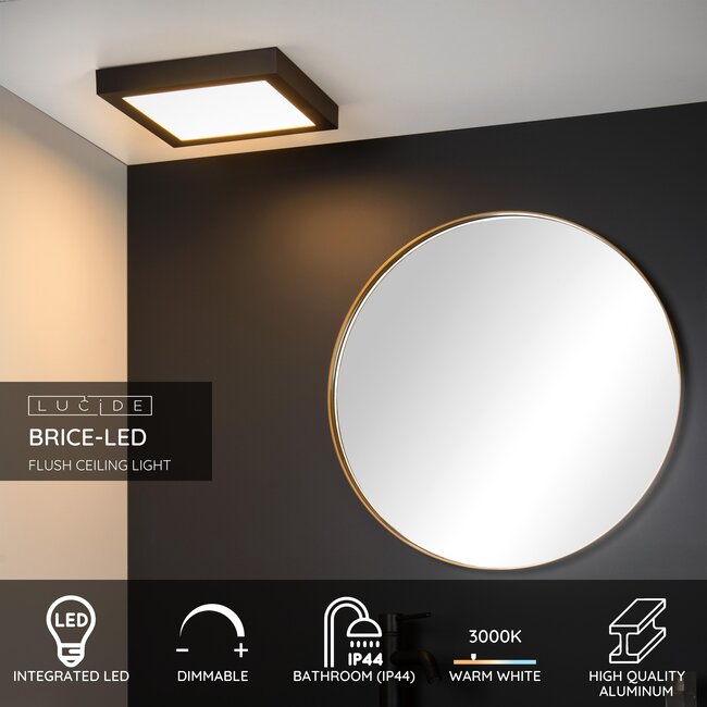 BRICE-LED - Bathroom Ceiling Light - LED Dimmable - 1x30W 3000K - IP44 - Black - 28117/30/30