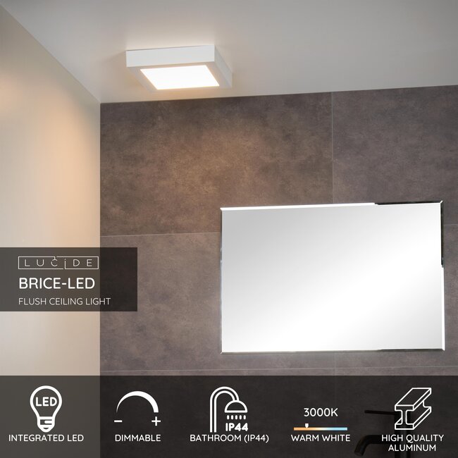 BRICE-LED - Bathroom Ceiling Light - LED Dimmable - 1x22W 3000K - IP44 - White - 28117/22/31