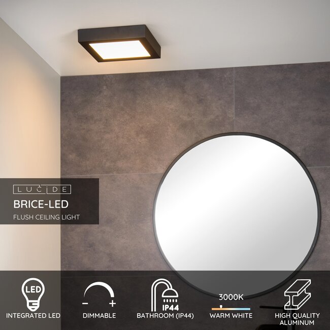 BRICE-LED - Bathroom Ceiling Light - LED Dimmable - 1x22W 3000K - IP44 - Black - 28117/22/30