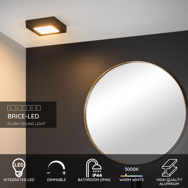 BRICE-LED - Plafonnière Badkamer - LED Dimb. - 1x15W 3000K - IP44 - Zwart - 28117/17/30