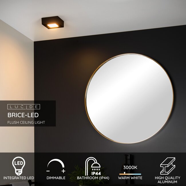 BRICE-LED - Plafonnière Badkamer - LED Dimb. - 1x8W 3000K - IP44 - Zwart - 28117/11/30