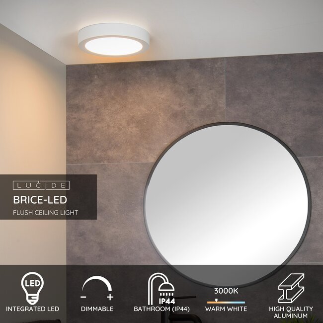 BRICE-LED - Plafonnier de salle de bain - Ø 24 cm - LED Dim. - 1x15W 3000K - IP44 - Blanc - 28116/24/31