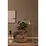 LESLEY - Floor reading lamp - 1xGU10 - Taupe - 03725/01/41