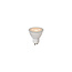 MR16 - Ampoule LED - Ø 5 cm - LED Dim. - GU10 - 1x5W 3000K - Blanc - 49006/05/31